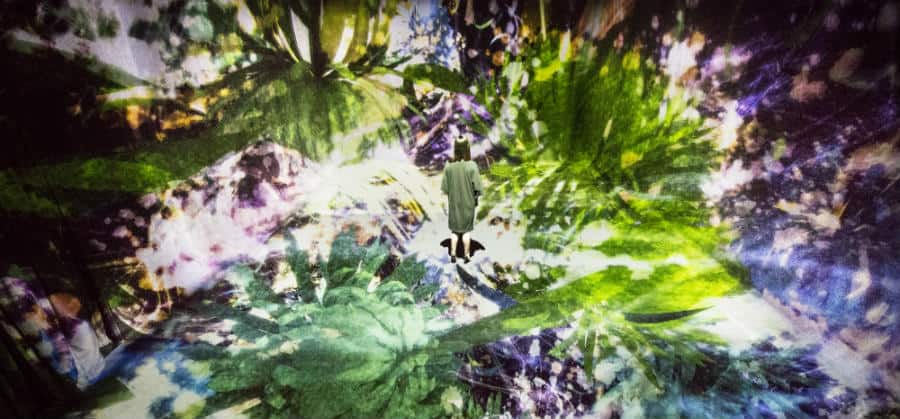 Die erste Ausstellung von Amos Rex zeigt digitale Kunst einer japanischen Künstlergruppe namens teamLab. Sie sind bekannt für ihre immersiven digitalen Installationen, in denen Farben eine wichtige Rolle spielen.
