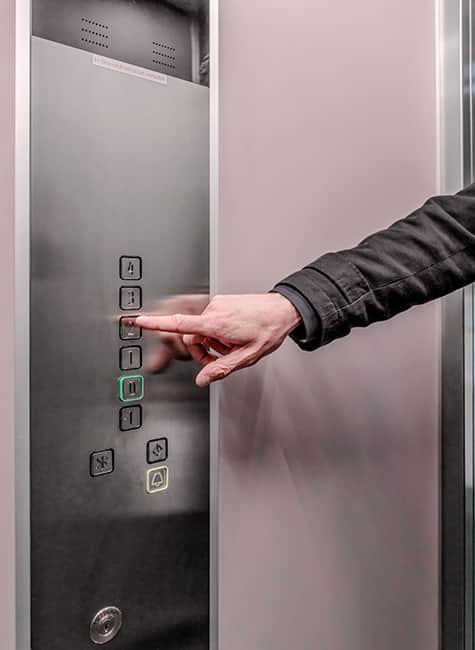 img_im_tiergarten_475x650_11