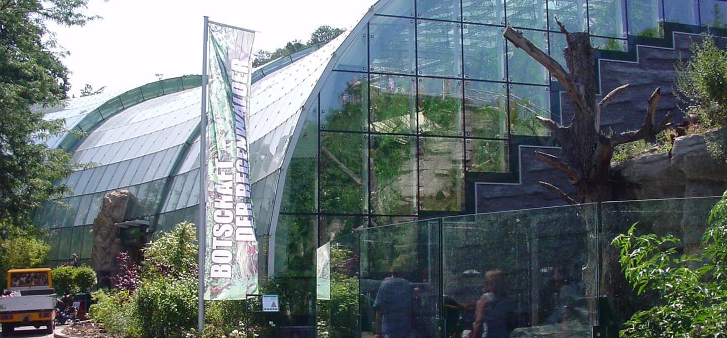 regenwald_1440x670